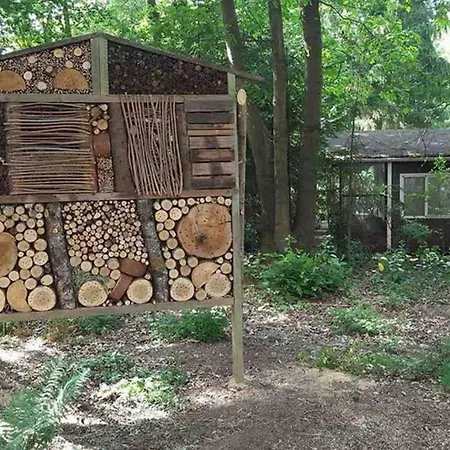 Nieuw Vebouwd Boshuisje Meibloempje Casa vacanze *