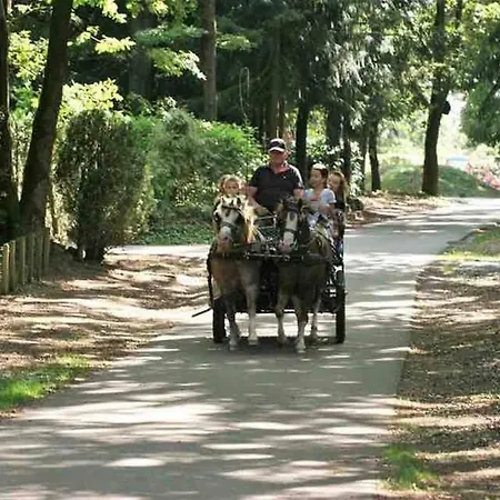 Nieuw Vebouwd Boshuisje Meibloempje